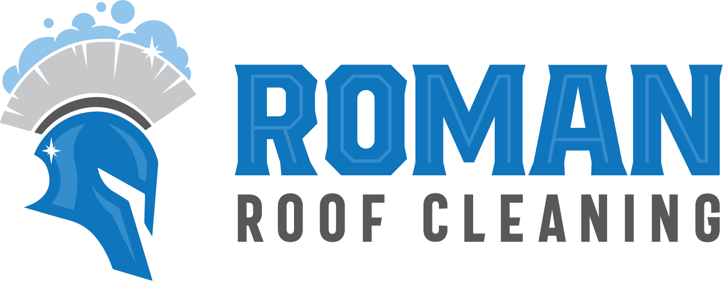 Roman Roof Cleaning