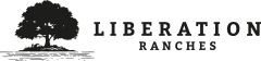 logo-1